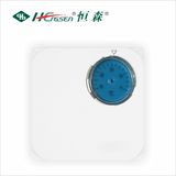 Scale Integral Thermostat Wkp-01/Room Thermostat/HVAC Controls