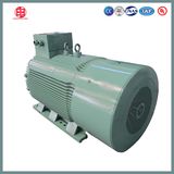 Y2 Series Low Voltage Large Power Three Phase Asynchronous Motor