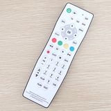 Replace Wateproof LCD TV Remote Control Konci Raysgem