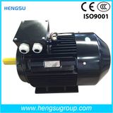 Ye3 Series Three-Phase Cast Iron Induction Electric Motor