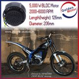 5000W Electric Motorbike Air Cooling Bldcm Motor