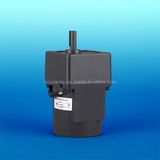 6W Micro AC Brake Motor