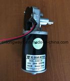 24V DC Worm Gear Motor for Car