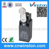 Waterproof Magnetic Elevator Limit Switch with CE