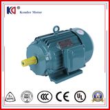 Three Phase AC Induction Motor for Pack-Aging Machinery
