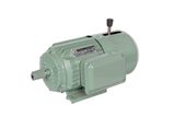 YEJ Series Three Phase AC Asynchronous Squirrel-Cage Break Electrical Motor
