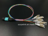 Fiber Optic Patchcord MPO-LC Harness Patch Cord 12 Fiber Om3 Qsfp Qsfp28