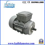 Safety, Low Noise and Light Weight Y2-M Series Electric Motor