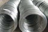 Steel Wire Rope, Galvanized Iron Wire / Galvanized Steel Wire for Hot Sale!
