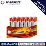Mercury&Cadmium Free China Supplier Digital Alkaline Battery (LR03-AAA 48PCS)