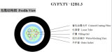 GYFXTY-12b1.3, Indoor/Outdoor Optical Fiber Cable Cixi Ningbo Factory.