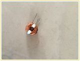 Ferrite Core Fixed Wirewound Inductor with ISO9001