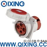 63A 4p 380V Electrical Receptacle Types /Industrial Plug Socket