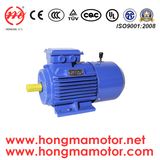 IEC Standard Three Phase Induction Motor with DC Brake (180L-4-22KW)