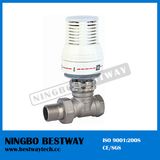 New Electric Radiator Valve (BW-R04)