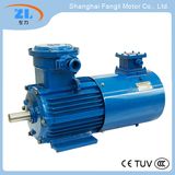 Ybvp2/Ybbp Series Variable Frequency Adjustable-Speed Converter-Fed Flameproof Three Phase Asynchronous Motors