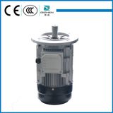 Aluminium Body Three Phase Motor