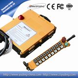 Heavy Duty Remote Control F21-18d Only One Industrial Remote Control Manufacturer in China