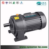 Small AC Gear Motor with Shaft Dia 22mm