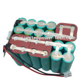 Li-ion Lithium LiFePO4 Rechargeable Battery for E-Bikes