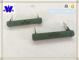 Rx21 Coating Wirewound Resistor with RoHS