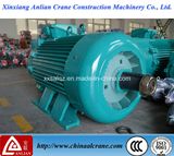 Big Frame Electric Crane Used AC Motor