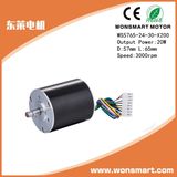 Brushless DC Motors with Long Lifetime