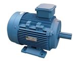 Three-Phase Induction Motor (Y3)