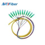 Colorful Sc/APC Fiber Optic Pigtail 0.9mm