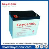 80ah LiFePO4 Gel Deep Cycle Battery 12V Deep Cycle Battery 12V