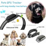 Real Google Map Tracking Pet GPS Tracker with Collar (EV-200)