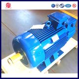 Wound Rotor Type 100kw Induction Motor Crane Motor
