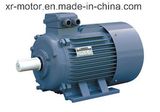 Three Phase Induction Motor for Water Pump