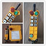 F24-6D Hoist Remote Controller