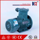Three Phase Flame Proof AC Electric Motor with 380V