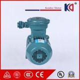 Explosion Proof Three Phase Electric AC Motor