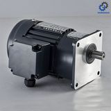 100-750W Vertical High Ratio Light Duty Type with Aluminum Brake Single Phase Gear Motor -E