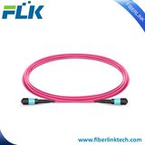 8/12/24/48/96/144 Cores Sm/mm/Om3/Om4 Fiber Optic MTP/MPO Patch Cord