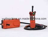 Telecrane Wireless Radio Remote Control (F21-4S)