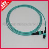12 Fiber Optical OM3 10G MPO Patch Cord
