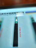 12 Cores GYXTW Duct Optical Fiber Cable
