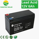 Famous Pure Battery 12V 6ah