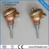 Stainless Steel Fixed Temperature Sensor