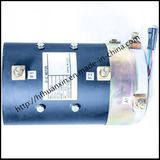 Xq-3.8 3.8kw 48V Electric Golf Cart Tractor Traction DC Motor