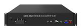 High Quality Gbsfp4820t LiFePO4 Battery /Lithium Battery for Telcom Module