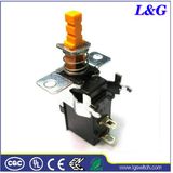 Electrical 16A Spst Power Pushbutton Switch (MPS11)