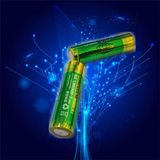 Alkaline AA Batteries Replacement for AA NiCd Batteries