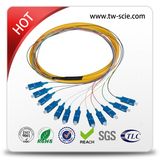 2-188 Core Multi Core Multi-Fiber Optical Indoor Breakout Cable