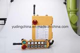China Factory 220V Long Distance Wireless Remote Controller F24-12D