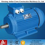 Three Phase Washing Machine Motor